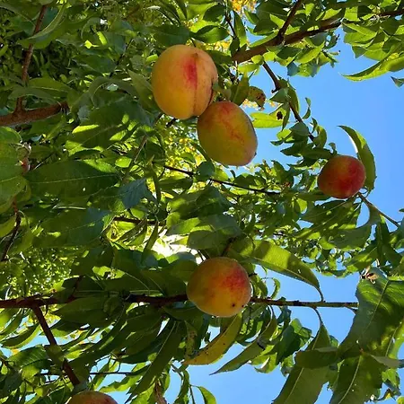 Visitar I - Casa Inteira Familiar
