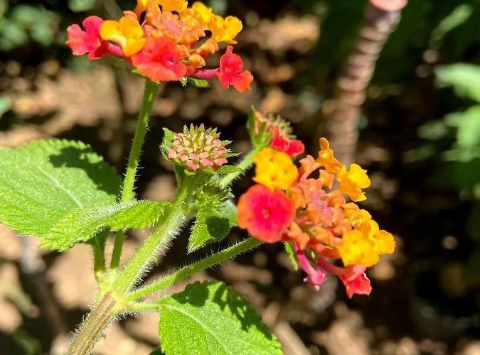 Casa de Férias Visitar I - Casa Inteira Familiar *
