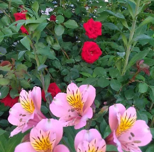 Visitar I - Casa Inteira Familiar Casa de Férias